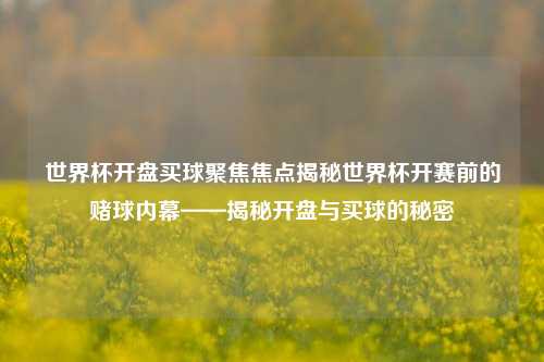 世界杯开盘买球聚焦焦点揭秘世界杯开赛前的赌球内幕——揭秘开盘与买球的秘密