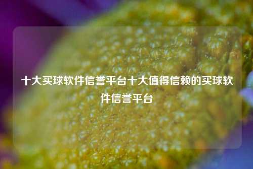 十大买球软件信誉平台十大值得信赖的买球软件信誉平台