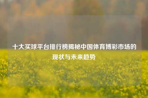 十大买球平台排行榜揭秘中国体育博彩市场的现状与未来趋势