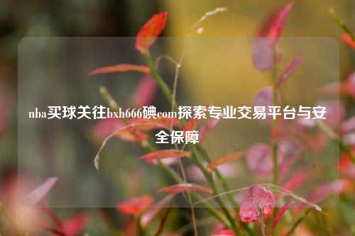 nba买球关往bxh666碘com探索专业交易平台与安全保障