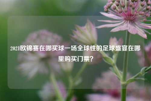 2021欧锦赛在哪买球一场全球性的足球盛宴在哪里购买门票？