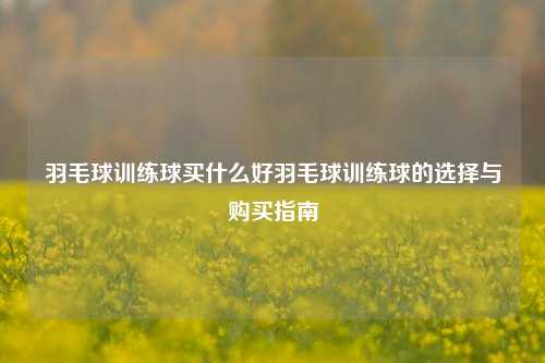 羽毛球训练球买什么好羽毛球训练球的选择与购买指南