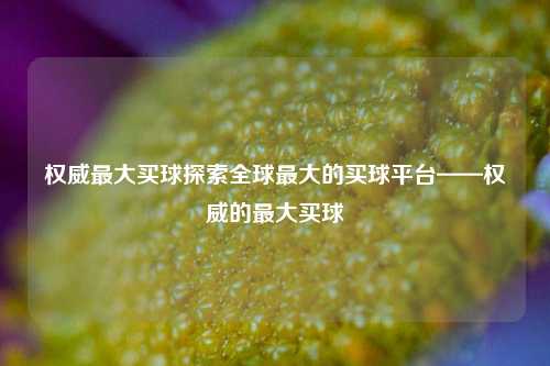 权威最大买球探索全球最大的买球平台——权威的最大买球
