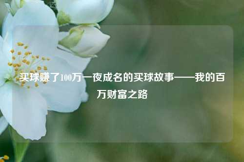 买球赚了100万一夜成名的买球故事——我的百万财富之路