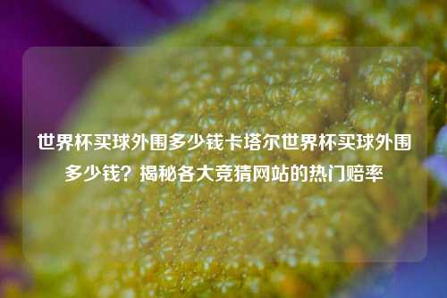 世界杯买球外围多少钱卡塔尔世界杯买球外围多少钱？揭秘各大竞猜网站的热门赔率