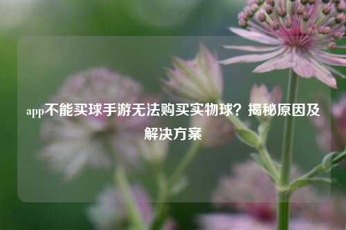 app不能买球手游无法购买实物球？揭秘原因及解决方案