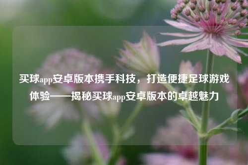 买球app安卓版本携手科技，打造便捷足球游戏体验——揭秘买球app安卓版本的卓越魅力