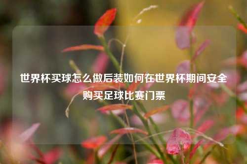 世界杯买球怎么做后装如何在世界杯期间安全购买足球比赛门票