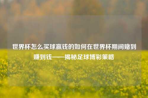 世界杯怎么买球赢钱的如何在世界杯期间赌到赚到钱——揭秘足球博彩策略