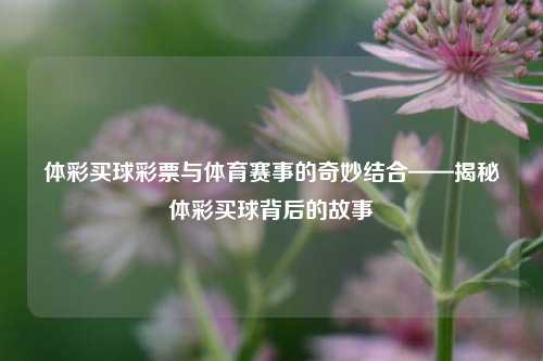 体彩买球彩票与体育赛事的奇妙结合——揭秘体彩买球背后的故事