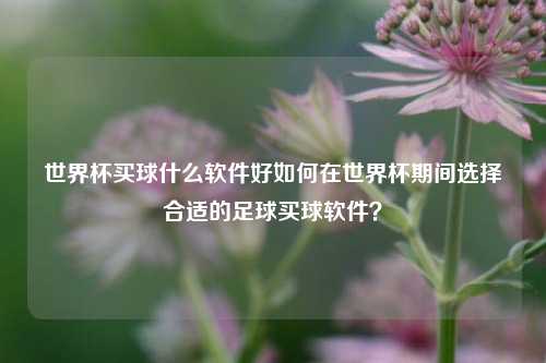 世界杯买球什么软件好如何在世界杯期间选择合适的足球买球软件？
