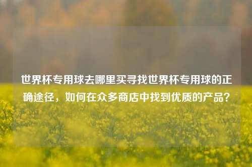世界杯专用球去哪里买寻找世界杯专用球的正确途径，如何在众多商店中找到优质的产品？