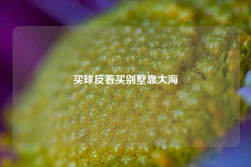 买球反着买别墅靠大海