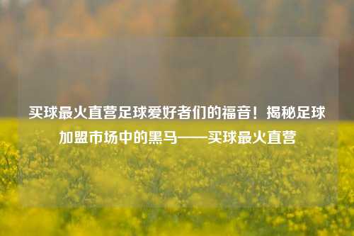 买球最火直营足球爱好者们的福音！揭秘足球加盟市场中的黑马——买球最火直营