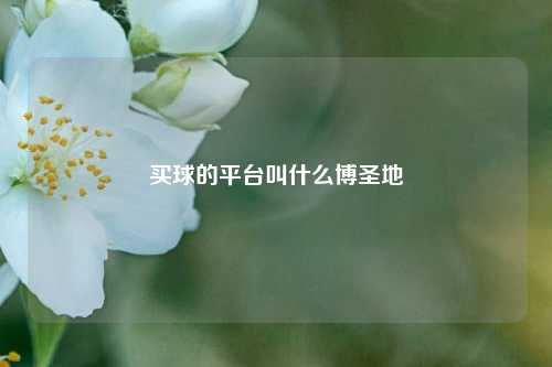 买球的平台叫什么博圣地