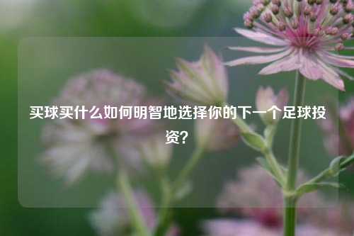 买球买什么如何明智地选择你的下一个足球投资？