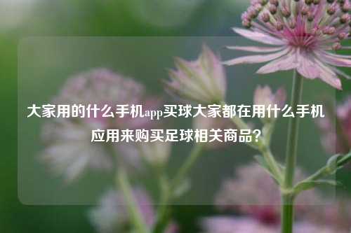 大家用的什么手机app买球大家都在用什么手机应用来购买足球相关商品？