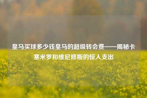 皇马买球多少钱皇马的超级转会费——揭秘卡塞米罗和维尼修斯的惊人支出