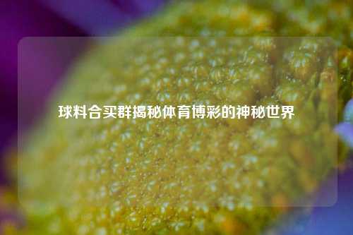 球料合买群揭秘体育博彩的神秘世界