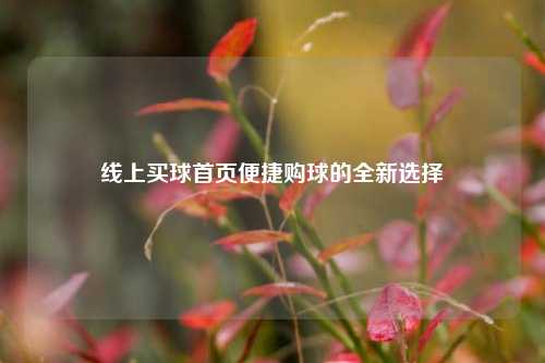 线上买球首页便捷购球的全新选择