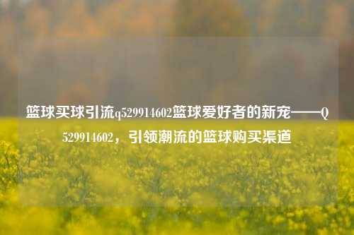 篮球买球引流q529914602篮球爱好者的新宠——Q529914602，引领潮流的篮球购买渠道