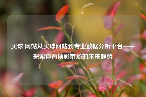 买球 网站从买球网站到专业数据分析平台——探索体育博彩市场的未来趋势